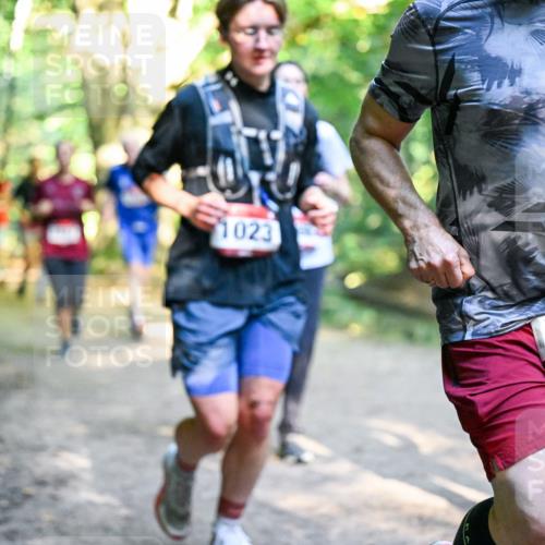 28.09.2025 - 33. Volkslauf durch das schöne Alstertal Dr. Thomas Lammeyer http://msf.ph/oto/8952356 28.09.2025 10:21:10 Laufen 1023, 172 meine-sportfotos.de