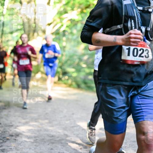 28.09.2025 - 33. Volkslauf durch das schöne Alstertal Dr. Thomas Lammeyer http://msf.ph/oto/8952358 28.09.2025 10:21:11 Laufen 1023 meine-sportfotos.de