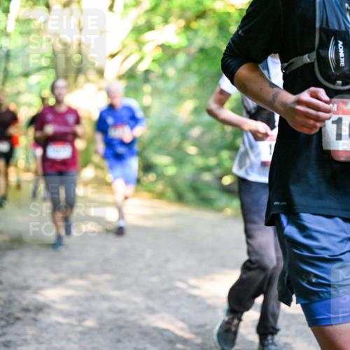 28.09.2025 - 33. Volkslauf durch das schöne Alstertal Dr. Thomas Lammeyer http://msf.ph/oto/8952359 28.09.2025 10:21:11 Laufen 1023 meine-sportfotos.de