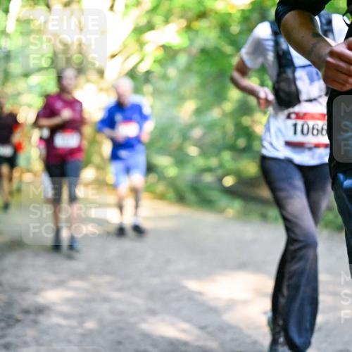 28.09.2025 - 33. Volkslauf durch das schöne Alstertal Dr. Thomas Lammeyer http://msf.ph/oto/8952360 28.09.2025 10:21:11 Laufen 1066, 102 meine-sportfotos.de