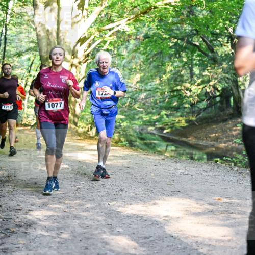 28.09.2025 - 33. Volkslauf durch das schöne Alstertal Dr. Thomas Lammeyer http://msf.ph/oto/8952361 28.09.2025 10:21:12 Laufen 1089, 1710, 1077, 172, 1066 meine-sportfotos.de