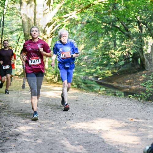 28.09.2025 - 33. Volkslauf durch das schöne Alstertal Dr. Thomas Lammeyer http://msf.ph/oto/8952362 28.09.2025 10:21:12 Laufen 1009, 1710, 1077, 7 meine-sportfotos.de