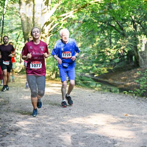 28.09.2025 - 33. Volkslauf durch das schöne Alstertal Dr. Thomas Lammeyer http://msf.ph/oto/8952363 28.09.2025 10:21:12 Laufen 1710, 19, 1077, 1728 meine-sportfotos.de