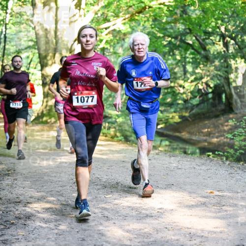 28.09.2025 - 33. Volkslauf durch das schöne Alstertal Dr. Thomas Lammeyer http://msf.ph/oto/8952367 28.09.2025 10:21:12 Laufen 1710, 1077, 172 meine-sportfotos.de