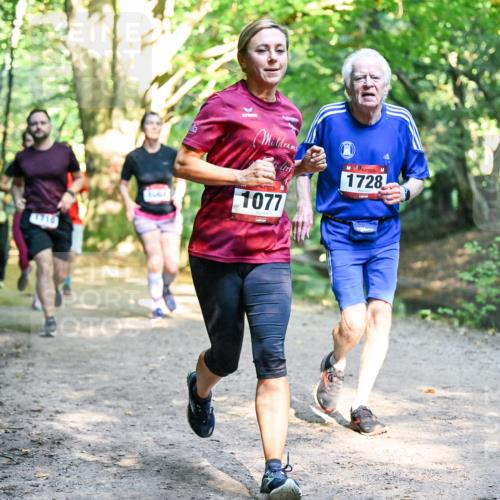 28.09.2025 - 33. Volkslauf durch das schöne Alstertal Dr. Thomas Lammeyer http://msf.ph/oto/8952369 28.09.2025 10:21:13 Laufen 1710, 1077, 1728 meine-sportfotos.de