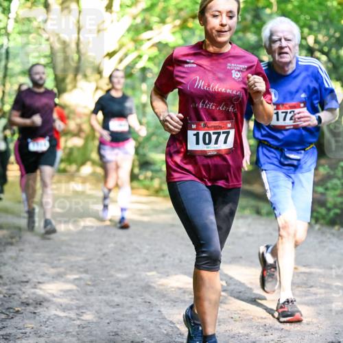 28.09.2025 - 33. Volkslauf durch das schöne Alstertal Dr. Thomas Lammeyer http://msf.ph/oto/8952371 28.09.2025 10:21:13 Laufen 30, 1077, 172 meine-sportfotos.de