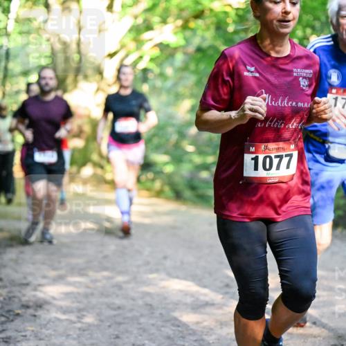 28.09.2025 - 33. Volkslauf durch das schöne Alstertal Dr. Thomas Lammeyer http://msf.ph/oto/8952373 28.09.2025 10:21:13 Laufen 30, 1077, 1728 meine-sportfotos.de