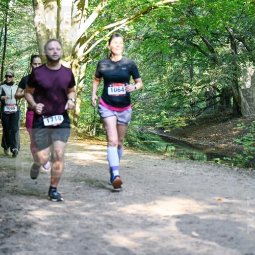 28.09.2025 - 33. Volkslauf durch das schöne Alstertal Dr. Thomas Lammeyer http://msf.ph/oto/8952374 28.09.2025 10:21:14 Laufen 1071, 670, 1089, 1710, 1064 meine-sportfotos.de