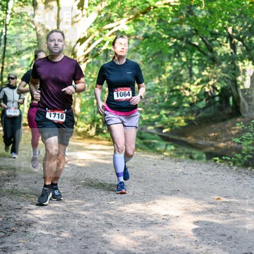 28.09.2025 - 33. Volkslauf durch das schöne Alstertal Dr. Thomas Lammeyer http://msf.ph/oto/8952375 28.09.2025 10:21:14 Laufen 1089, 1710, 1064 meine-sportfotos.de