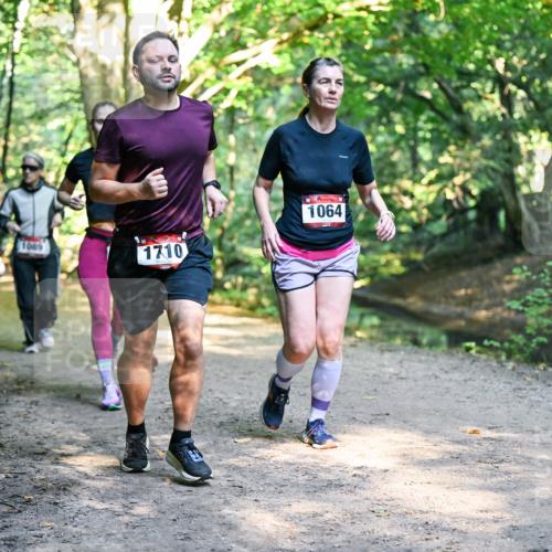 28.09.2025 - 33. Volkslauf durch das schöne Alstertal Dr. Thomas Lammeyer http://msf.ph/oto/8952378 28.09.2025 10:21:14 Laufen 1089, 1710, 1064 meine-sportfotos.de