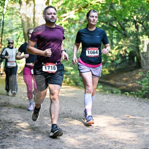 28.09.2025 - 33. Volkslauf durch das schöne Alstertal Dr. Thomas Lammeyer http://msf.ph/oto/8952379 28.09.2025 10:21:15 Laufen 1089, 1710, 1064 meine-sportfotos.de