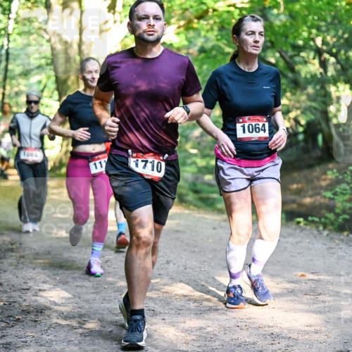 28.09.2025 - 33. Volkslauf durch das schöne Alstertal Dr. Thomas Lammeyer http://msf.ph/oto/8952381 28.09.2025 10:21:15 Laufen 1710, 1064 meine-sportfotos.de