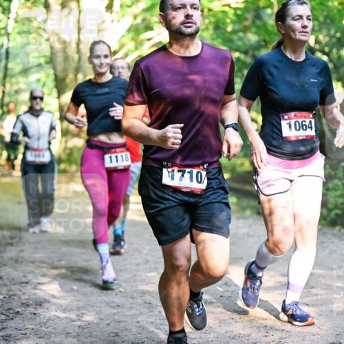28.09.2025 - 33. Volkslauf durch das schöne Alstertal Dr. Thomas Lammeyer http://msf.ph/oto/8952383 28.09.2025 10:21:15 Laufen 1118, 13, 1710, 1064 meine-sportfotos.de