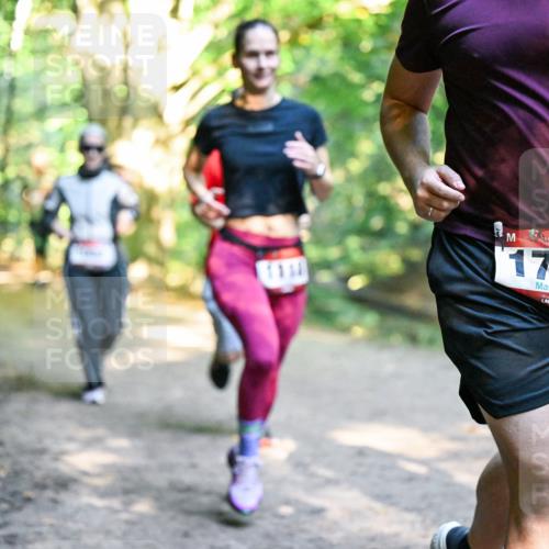 28.09.2025 - 33. Volkslauf durch das schöne Alstertal Dr. Thomas Lammeyer http://msf.ph/oto/8952385 28.09.2025 10:21:16 Laufen 1710 meine-sportfotos.de