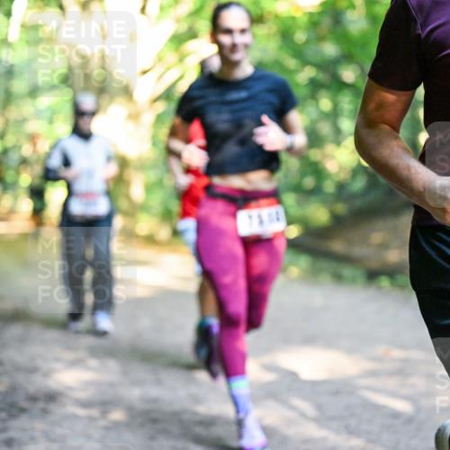 28.09.2025 - 33. Volkslauf durch das schöne Alstertal Dr. Thomas Lammeyer http://msf.ph/oto/8952386 28.09.2025 10:21:16 Laufen 1710 meine-sportfotos.de