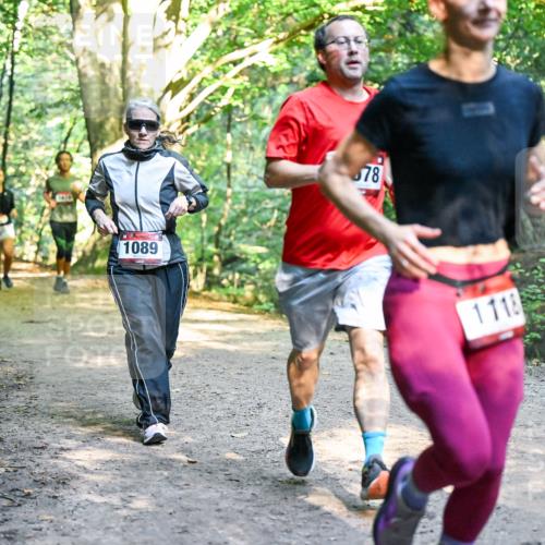 28.09.2025 - 33. Volkslauf durch das schöne Alstertal Dr. Thomas Lammeyer http://msf.ph/oto/8952387 28.09.2025 10:21:16 Laufen 1089, 78, 1118 meine-sportfotos.de