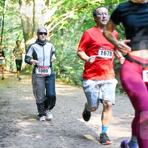 28.09.2025 - 33. Volkslauf durch das schöne Alstertal Dr. Thomas Lammeyer http://msf.ph/oto/8952388 28.09.2025 10:21:17 Laufen 1089, 1678, 1118 meine-sportfotos.de