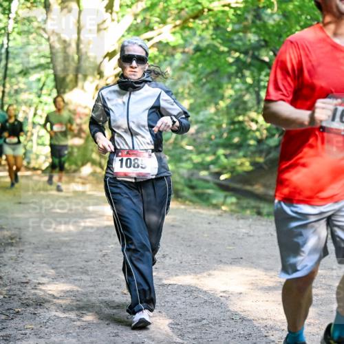 28.09.2025 - 33. Volkslauf durch das schöne Alstertal Dr. Thomas Lammeyer http://msf.ph/oto/8952392 28.09.2025 10:21:17 Laufen 1085, 1678 meine-sportfotos.de