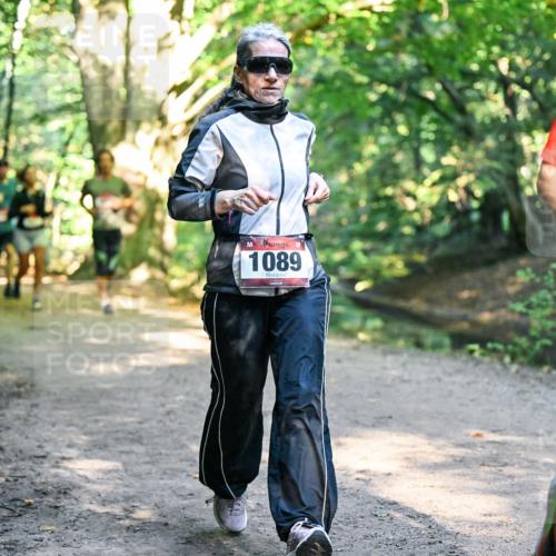 28.09.2025 - 33. Volkslauf durch das schöne Alstertal Dr. Thomas Lammeyer http://msf.ph/oto/8952394 28.09.2025 10:21:17 Laufen 1089 meine-sportfotos.de