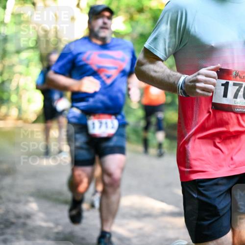 28.09.2025 - 33. Volkslauf durch das schöne Alstertal Dr. Thomas Lammeyer http://msf.ph/oto/8952424 28.09.2025 10:21:23 Laufen 1715, 1766 meine-sportfotos.de