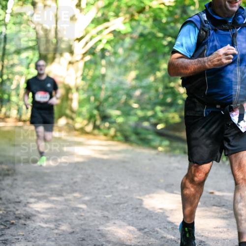 28.09.2025 - 33. Volkslauf durch das schöne Alstertal Dr. Thomas Lammeyer http://msf.ph/oto/8952441 28.09.2025 10:21:26 Laufen 131, 59 meine-sportfotos.de