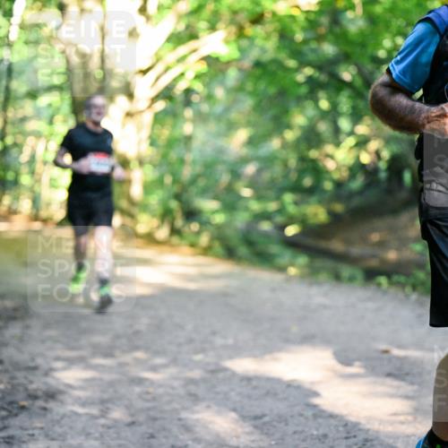 28.09.2025 - 33. Volkslauf durch das schöne Alstertal Dr. Thomas Lammeyer http://msf.ph/oto/8952443 28.09.2025 10:21:26 Laufen 1731 meine-sportfotos.de
