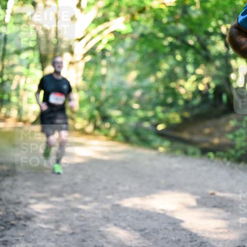 28.09.2025 - 33. Volkslauf durch das schöne Alstertal Dr. Thomas Lammeyer http://msf.ph/oto/8952444 28.09.2025 10:21:27 Laufen  meine-sportfotos.de