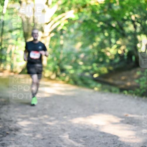 28.09.2025 - 33. Volkslauf durch das schöne Alstertal Dr. Thomas Lammeyer http://msf.ph/oto/8952445 28.09.2025 10:21:27 Laufen  meine-sportfotos.de