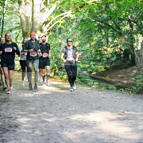 28.09.2025 - 33. Volkslauf durch das schöne Alstertal Dr. Thomas Lammeyer http://msf.ph/oto/8952459 28.09.2025 10:21:35 Laufen 1748, 1102, 10, 1087, 1834 meine-sportfotos.de