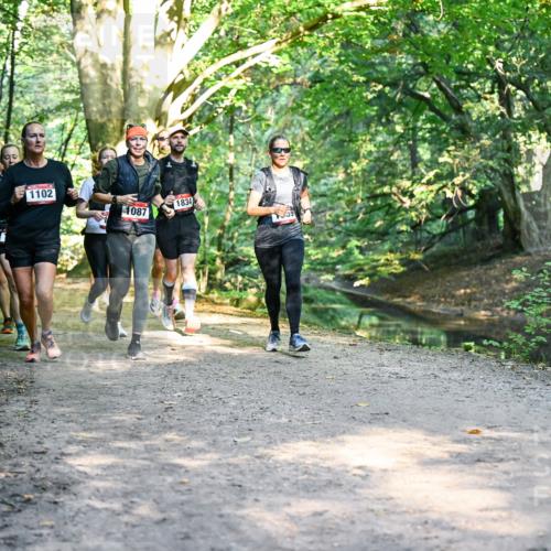 28.09.2025 - 33. Volkslauf durch das schöne Alstertal Dr. Thomas Lammeyer http://msf.ph/oto/8952460 28.09.2025 10:21:35 Laufen 1102, 1087, 1834 meine-sportfotos.de