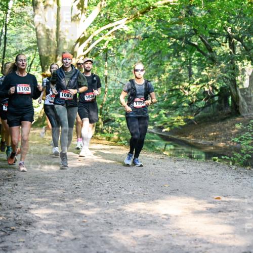 28.09.2025 - 33. Volkslauf durch das schöne Alstertal Dr. Thomas Lammeyer http://msf.ph/oto/8952462 28.09.2025 10:21:35 Laufen 73, 1102, 1087, 10, 1834, 1059 meine-sportfotos.de
