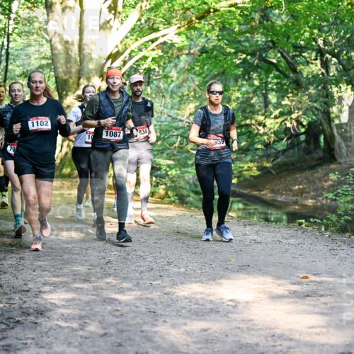 28.09.2025 - 33. Volkslauf durch das schöne Alstertal Dr. Thomas Lammeyer http://msf.ph/oto/8952465 28.09.2025 10:21:36 Laufen 10, 1102, 10, 1087, 834 meine-sportfotos.de