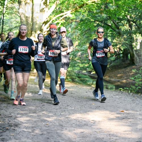 28.09.2025 - 33. Volkslauf durch das schöne Alstertal Dr. Thomas Lammeyer http://msf.ph/oto/8952467 28.09.2025 10:21:36 Laufen 1088, 1102, 108, 1059, 1081 meine-sportfotos.de