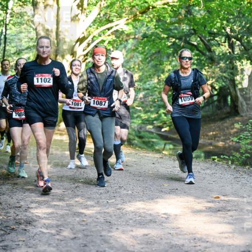 28.09.2025 - 33. Volkslauf durch das schöne Alstertal Dr. Thomas Lammeyer http://msf.ph/oto/8952468 28.09.2025 10:21:36 Laufen 1088, 1102, 1081, 1087, 1059 meine-sportfotos.de