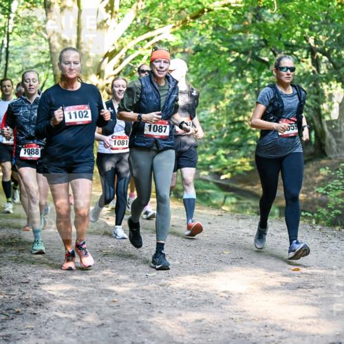 28.09.2025 - 33. Volkslauf durch das schöne Alstertal Dr. Thomas Lammeyer http://msf.ph/oto/8952470 28.09.2025 10:21:37 Laufen 1088, 1102, 1081, 1087 meine-sportfotos.de