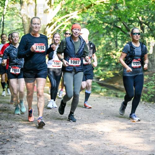 28.09.2025 - 33. Volkslauf durch das schöne Alstertal Dr. Thomas Lammeyer http://msf.ph/oto/8952471 28.09.2025 10:21:37 Laufen 1088, 102, 1081, 1087, 1059 meine-sportfotos.de
