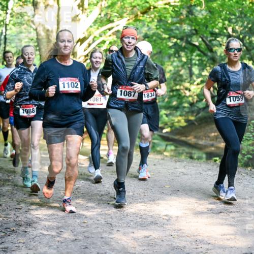 28.09.2025 - 33. Volkslauf durch das schöne Alstertal Dr. Thomas Lammeyer http://msf.ph/oto/8952472 28.09.2025 10:21:37 Laufen 1088, 1102, 1087, 081, 1834, 1059 meine-sportfotos.de