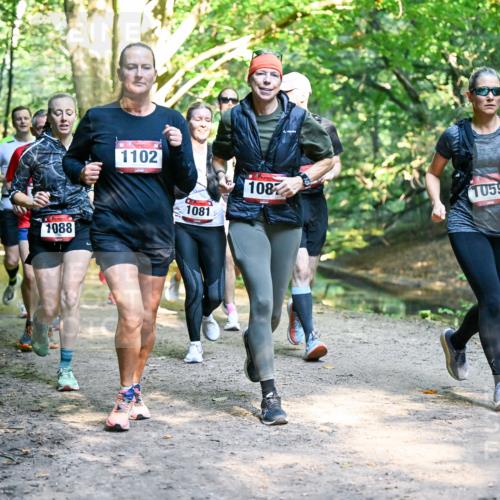 28.09.2025 - 33. Volkslauf durch das schöne Alstertal Dr. Thomas Lammeyer http://msf.ph/oto/8952473 28.09.2025 10:21:37 Laufen 1088, 1102, 1081, 108, 1059 meine-sportfotos.de