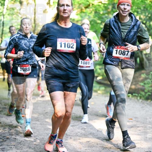 28.09.2025 - 33. Volkslauf durch das schöne Alstertal Dr. Thomas Lammeyer http://msf.ph/oto/8952476 28.09.2025 10:21:38 Laufen 1088, 1102, 1081, 1087 meine-sportfotos.de