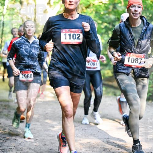 28.09.2025 - 33. Volkslauf durch das schöne Alstertal Dr. Thomas Lammeyer http://msf.ph/oto/8952477 28.09.2025 10:21:38 Laufen 1088, 1102, 1081, 1087 meine-sportfotos.de