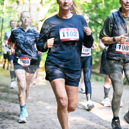 28.09.2025 - 33. Volkslauf durch das schöne Alstertal Dr. Thomas Lammeyer http://msf.ph/oto/8952478 28.09.2025 10:21:38 Laufen 1088, 1102, 1081, 1087 meine-sportfotos.de