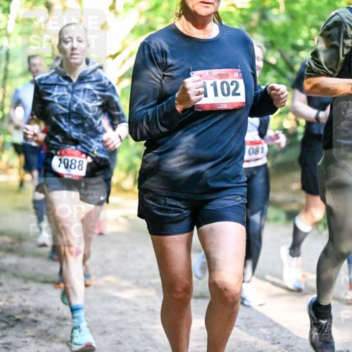 28.09.2025 - 33. Volkslauf durch das schöne Alstertal Dr. Thomas Lammeyer http://msf.ph/oto/8952479 28.09.2025 10:21:38 Laufen 1088, 102, 081, 1087 meine-sportfotos.de
