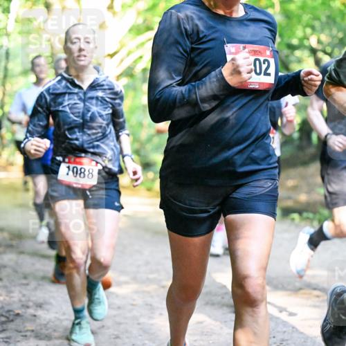 28.09.2025 - 33. Volkslauf durch das schöne Alstertal Dr. Thomas Lammeyer http://msf.ph/oto/8952480 28.09.2025 10:21:38 Laufen 1088, 02, 108 meine-sportfotos.de