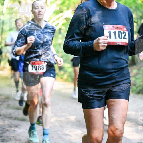 28.09.2025 - 33. Volkslauf durch das schöne Alstertal Dr. Thomas Lammeyer http://msf.ph/oto/8952481 28.09.2025 10:21:38 Laufen 1088, 1102 meine-sportfotos.de