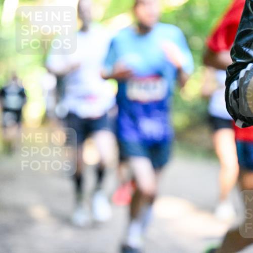 28.09.2025 - 33. Volkslauf durch das schöne Alstertal Dr. Thomas Lammeyer http://msf.ph/oto/8952489 28.09.2025 10:21:40 Laufen  meine-sportfotos.de