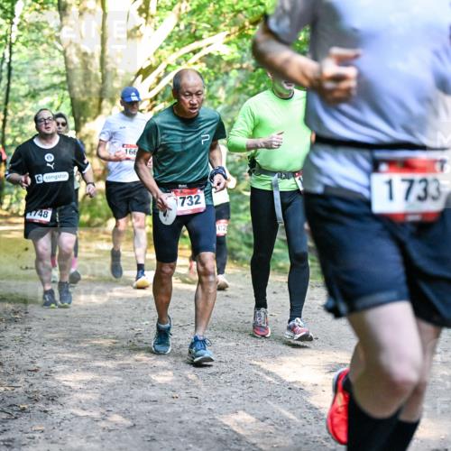 28.09.2025 - 33. Volkslauf durch das schöne Alstertal Dr. Thomas Lammeyer http://msf.ph/oto/8952494 28.09.2025 10:21:41 Laufen 166, 748, 1732, 02, 1733 meine-sportfotos.de