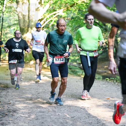 28.09.2025 - 33. Volkslauf durch das schöne Alstertal Dr. Thomas Lammeyer http://msf.ph/oto/8952495 28.09.2025 10:21:41 Laufen 1748, 1668, 1732, 17, 17 meine-sportfotos.de