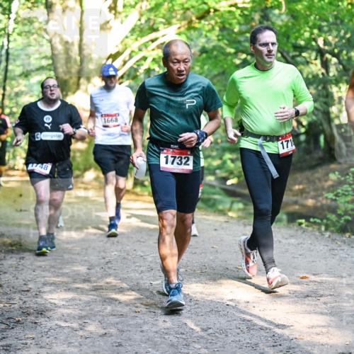 28.09.2025 - 33. Volkslauf durch das schöne Alstertal Dr. Thomas Lammeyer http://msf.ph/oto/8952496 28.09.2025 10:21:41 Laufen 1668, 48, 1732, 171 meine-sportfotos.de