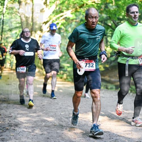 28.09.2025 - 33. Volkslauf durch das schöne Alstertal Dr. Thomas Lammeyer http://msf.ph/oto/8952499 28.09.2025 10:21:42 Laufen 1748, 732, 17 meine-sportfotos.de