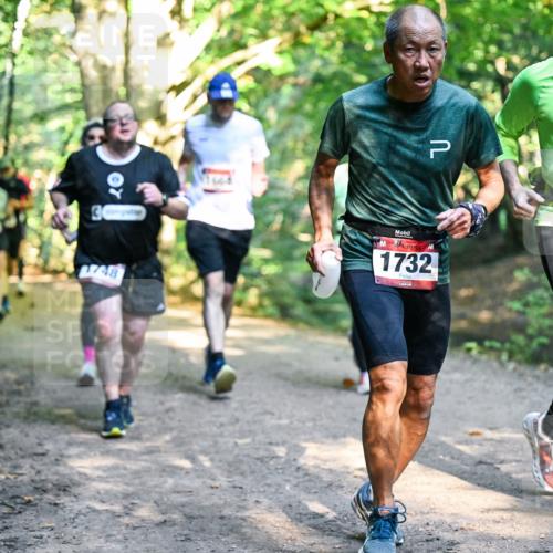 28.09.2025 - 33. Volkslauf durch das schöne Alstertal Dr. Thomas Lammeyer http://msf.ph/oto/8952501 28.09.2025 10:21:42 Laufen 66, 8, 1732, 171 meine-sportfotos.de